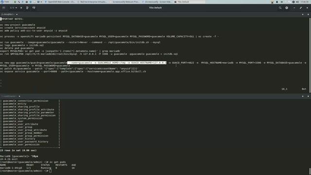 OpenShift Guacamole 1.0.0 смотреть онлайн
