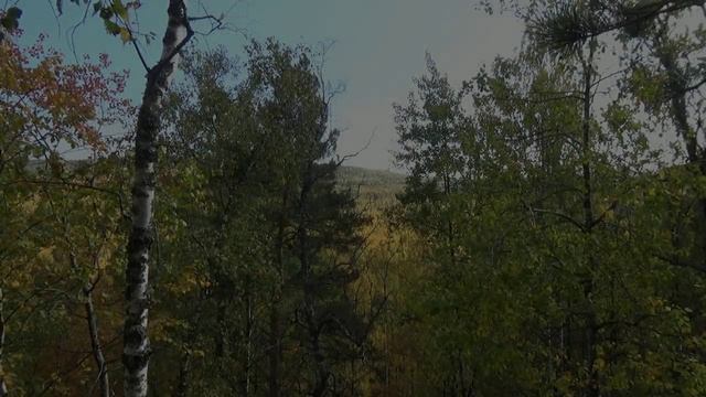 Природа южного Урала. смотреть онлайн