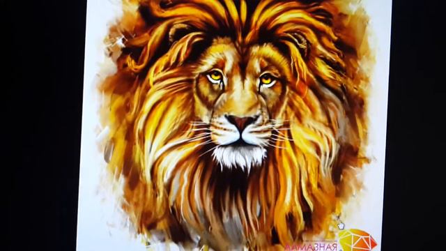 Топ 5 что делать если дикие животные напали смотреть онлайн