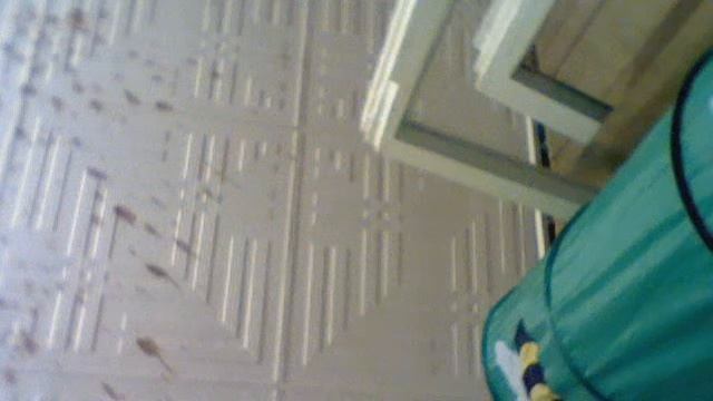 Видео с веб-камеры. Дата: 1 августа 2013 г., 0:33. смотреть онлайн