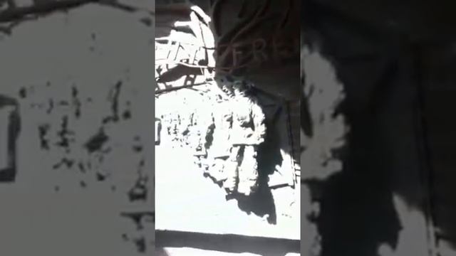 Памятник погибшим солдатам смотреть онлайн