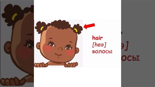 Названия частей тела. смотреть онлайн