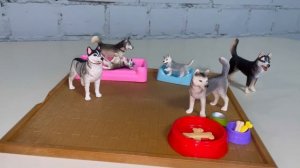 Husky.Dogs ?4K / Хаски. Собаки