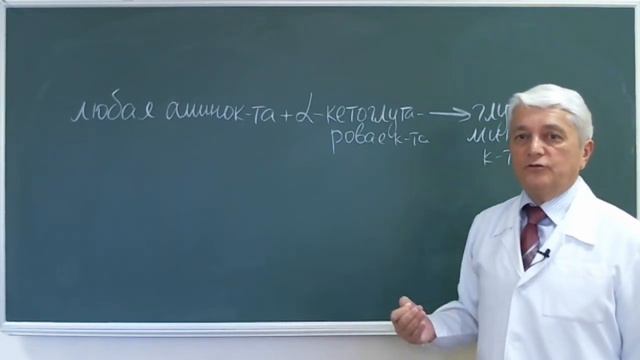 12:00 Катаболизм белков 2 смотреть онлайн