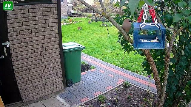 Резекненское "в мире животных " ?? осень 2023 смотреть онлайн