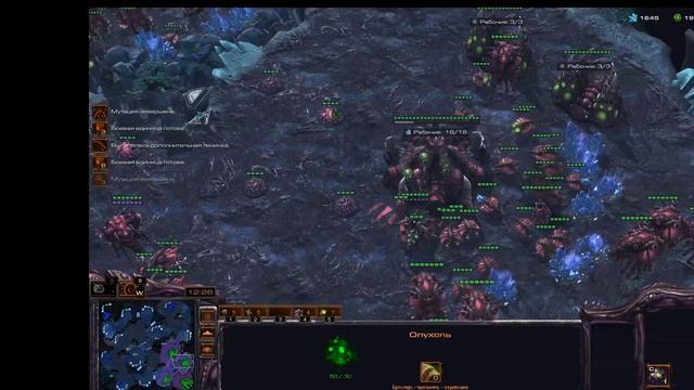 Starcraft 2 ! на 1 (новый монитор 2к ) смотреть онлайн