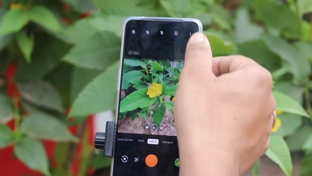 How to Click 50 MP High Resolution Pictures in One Plus 9 ? смотреть онлайн