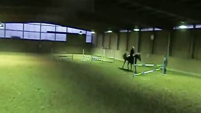 Manni Halle springen смотреть онлайн