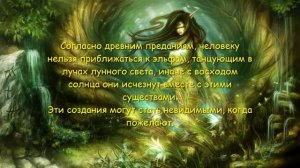 ⚡ Существуют ли эльфы на самом деле?