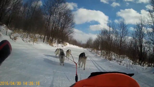 Видео8 Соревнования по ЕС 17.02.2019 Сахалин