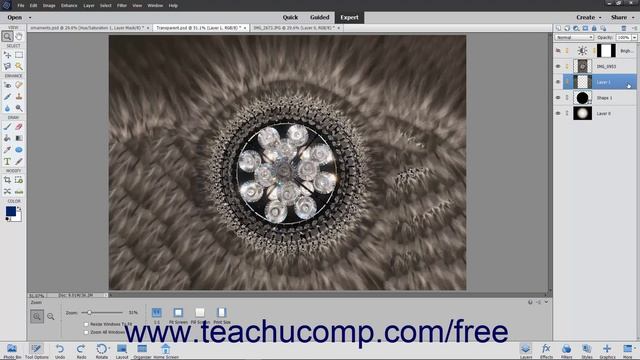 Learn How to Lock Pixels in Layers in Adobe Photoshop Elements 2023: A Training Tutorial смотреть онлайн