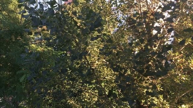 В Набоков. Сказка смотреть онлайн