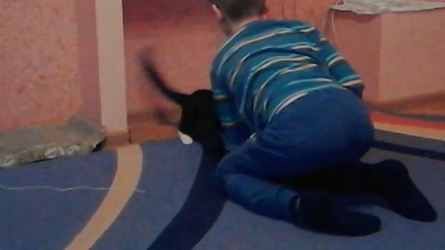 Кот-вратарь отбивает мячи смотреть онлайн