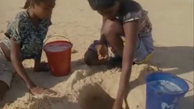 Жак-Ив Кусто - Мадагаскар Душа острова Часть II (1995) смотреть онлайн