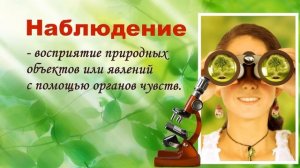 Презентация на тему методы биологии. Биология 5 класс