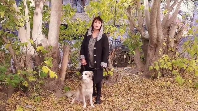 Чаку 11 лет. Поздравления от друзей🤝🏻🥂🍾🎂🎉🎉🎉 смотреть онлайн