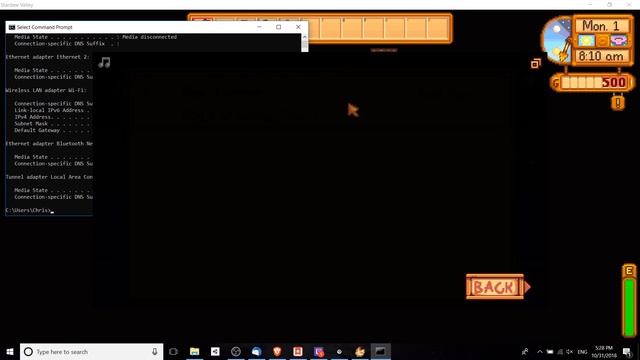 Local & Internet LAN Play How To Guide for Stardew Valley Multiplayer смотреть онлайн
