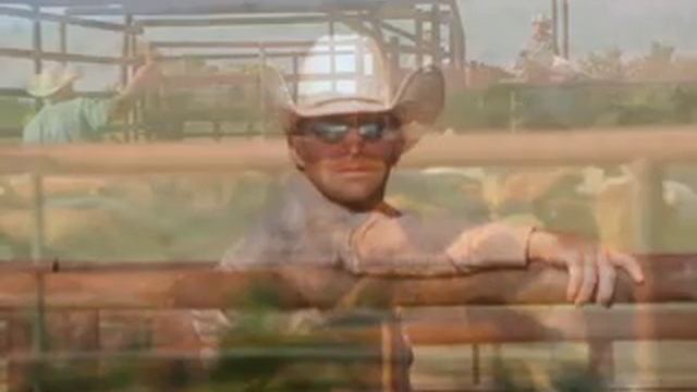 Cowboy's Cattle Roundup смотреть онлайн