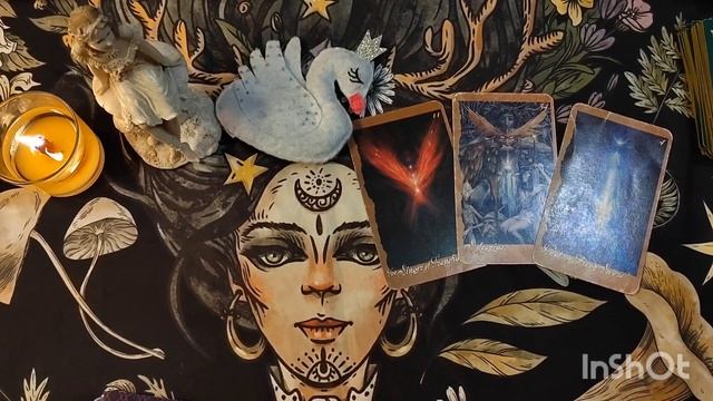 Превращение из утенка в лебедя? Новые перспективы, советы карт и предупреждения. #таро #тароонлайн смотреть онлайн