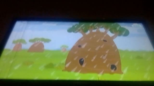 Бодо бородо