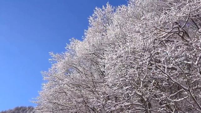 Три песни  о главном  2  исп  А  Долгов