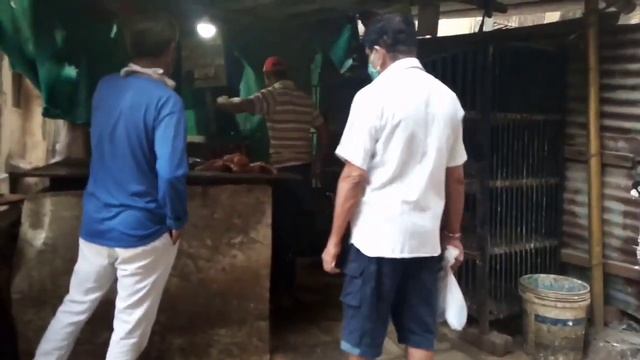 Мумбай самый зараженный город куролесит ру смотреть онлайн
