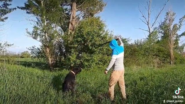 время остановись 🙃 смотреть онлайн