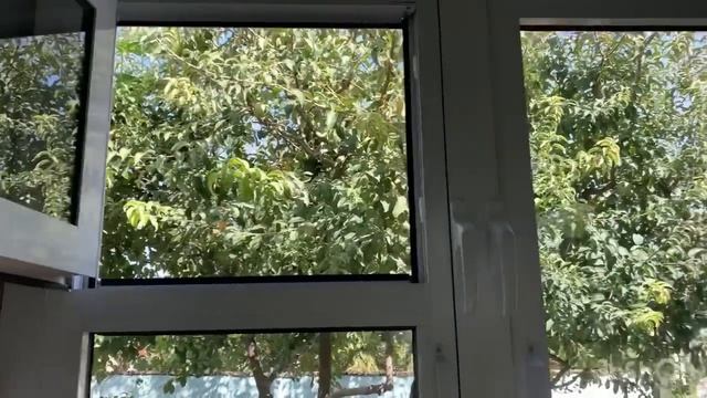 НУХОТ ШЎРАК ОСОН ВА ЖУДА МАЗАЛИ ????☺️