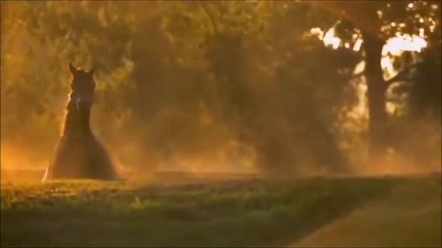 КОНИ смотреть онлайн