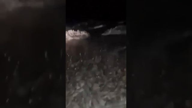 Знаменитые кобяйские караси с озера Нидьили. На видео улов из трёх мунха. Якутия. Нидьили смотреть онлайн