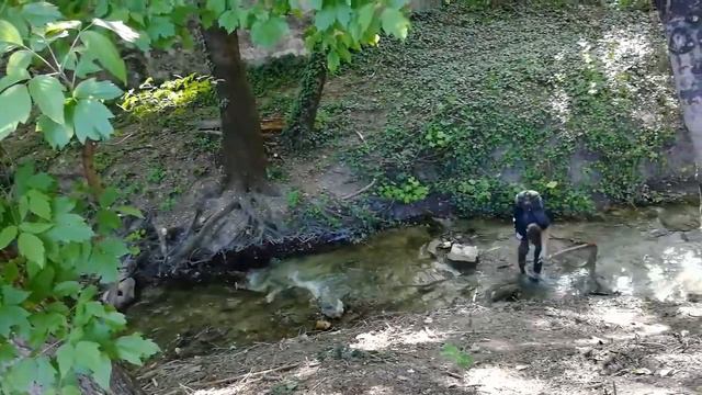 Симферополь прогулка выходного дня смотреть онлайн