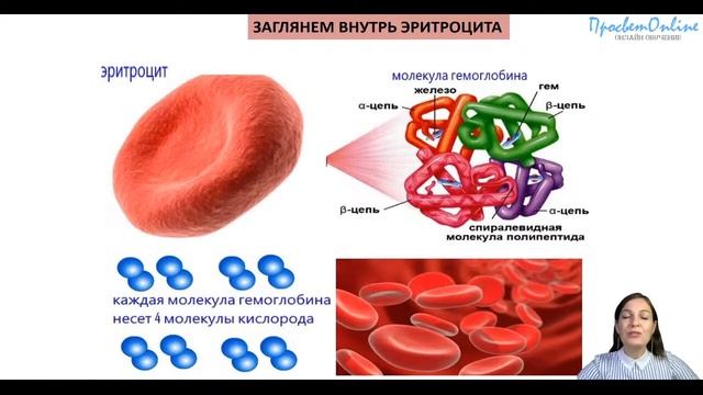 Почему кровь красного цвета? смотреть онлайн