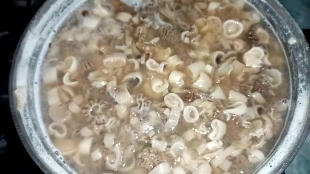 Самые, первые грибы... Жарим, СМОРЧКИ.. ШуриК.))))) смотреть онлайн