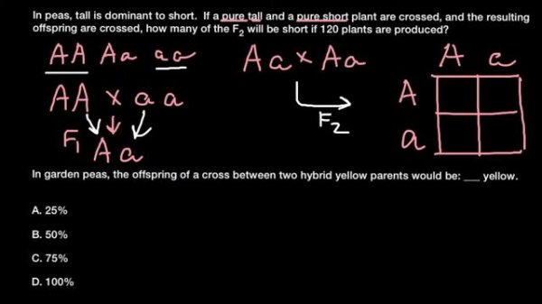 How to solve simple Mendelian problems