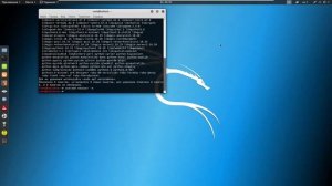 Kali Linux  Обзор и настройка