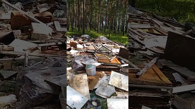 Живём - где срем и срем - где живем(2) смотреть онлайн