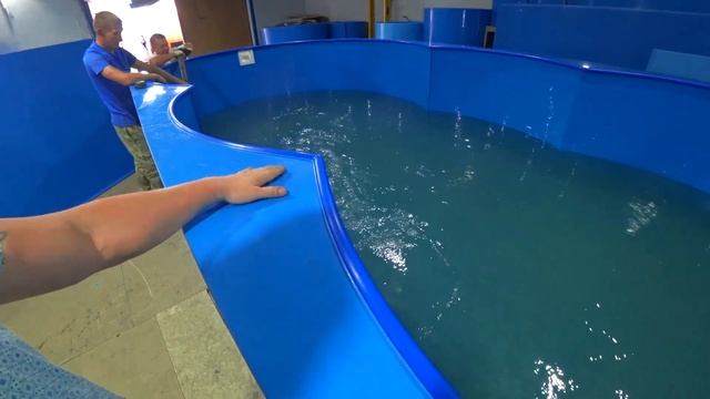 Испытание наземного бассейна из полипропилена. смотреть онлайн