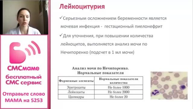 Общий анализ мочи у беременных – подробно смотреть онлайн