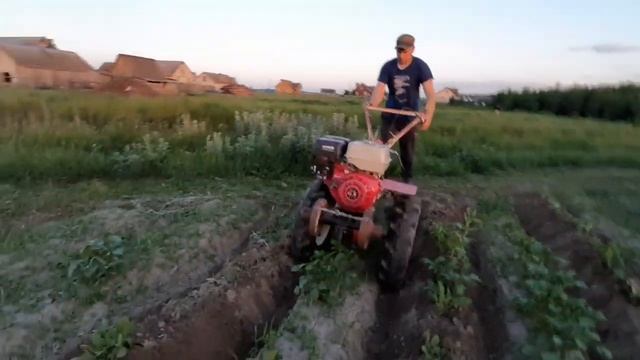 Окучивание картошки дисковым окучником смотреть онлайн