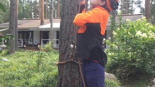 Работа с Арбопортом