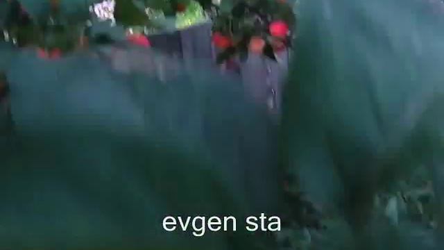 ЛЕСЕНКА СТРЕМЯНКА ДЛЯ ДАЧИ смотреть онлайн