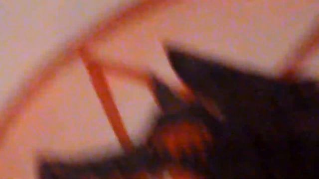 Мои рисунки из Скетчбука, Волк-одиночка. (Рисунки волков) смотреть онлайн