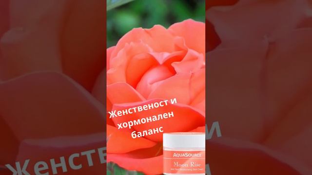 Крем Муун Райз за хормонален баланс-Аквасорс смотреть онлайн