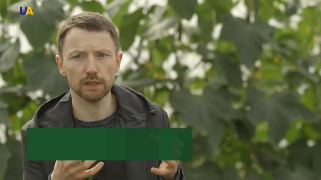 Прянощі та екзотичні овочі ростуть на екофермі під столицею смотреть онлайн