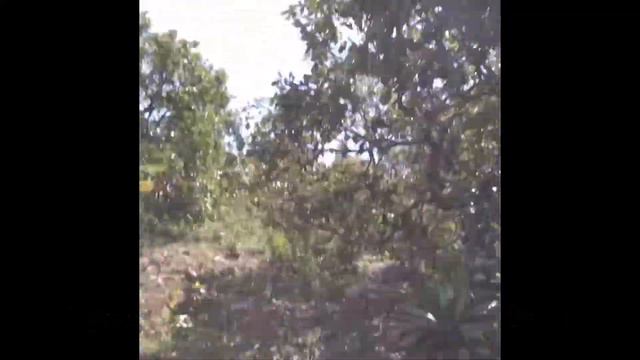 Agaves en Filos смотреть онлайн