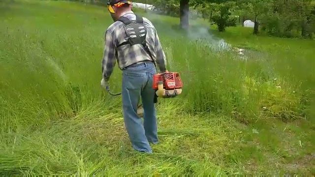 video 255805edb18bbf72c364425d03588158 V смотреть онлайн