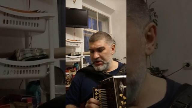 Баксанская. Песня под Нижегородскую Гармонь. смотреть онлайн