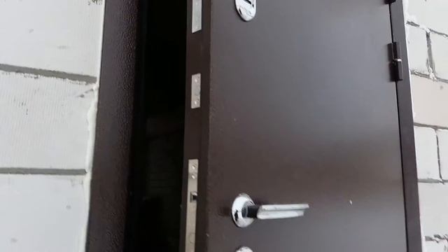 Торэкс Снегирь МР(1)