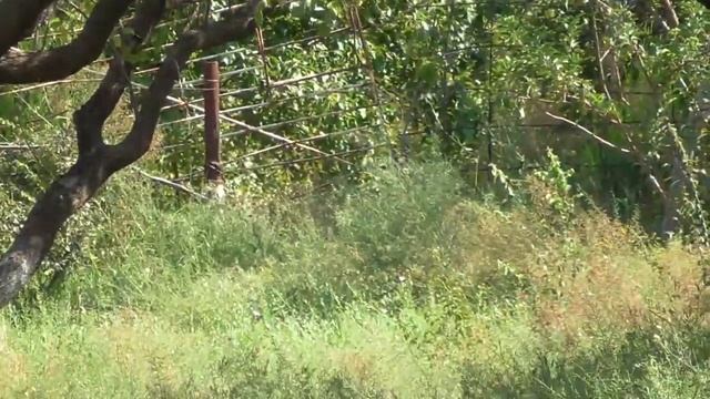 Туркменистан.Turkmenistan. Балканский велаят. Кяриз.