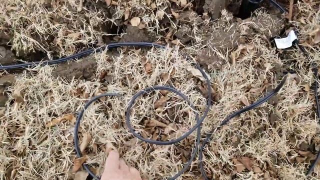 How to Daisy Chain Lights Together | Landscape Lighting смотреть онлайн